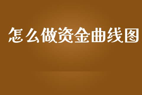 怎么做资金曲线图_https://cj002.lansai.wang_会计问答_第1张