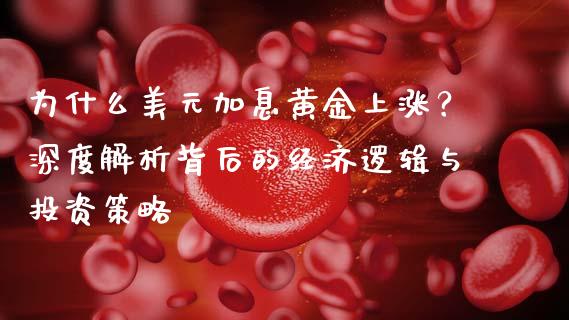 为什么美元加息黄金上涨？深度解析背后的经济逻辑与投资策略_https://cj002.lansai.wang_财经问答_第1张