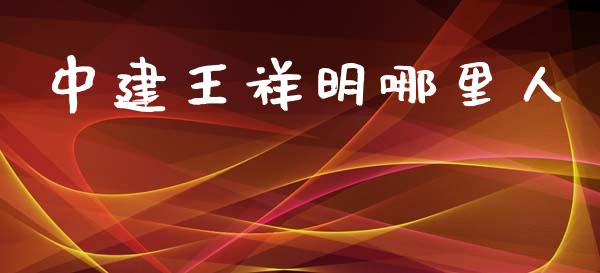 中建王祥明哪里人_https://cj002.lansai.wang_财经问答_第1张