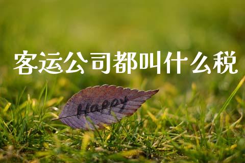 客运公司都叫什么税_https://cj002.lansai.wang_会计问答_第1张