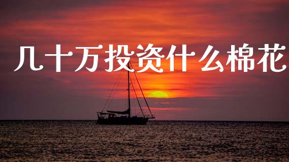 几十万投资什么棉花_https://cj002.lansai.wang_保险问答_第1张