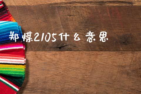 郑煤2105什么意思_https://cj002.lansai.wang_财经问答_第1张
