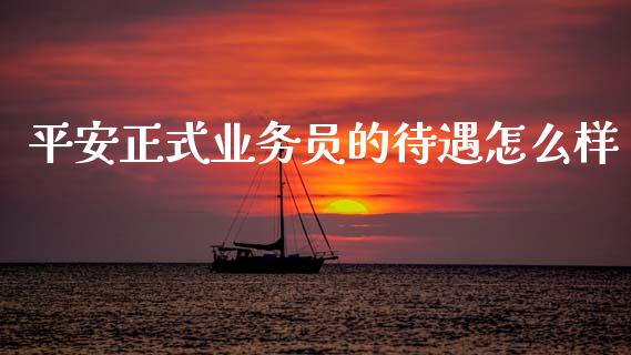 平安正式业务员的待遇怎么样_https://cj002.lansai.wang_保险问答_第1张