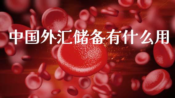 中国外汇储备有什么用_https://cj002.lansai.wang_保险问答_第1张