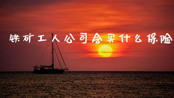 铁矿工人公司会买什么保险_https://cj002.lansai.wang_会计问答_第1张