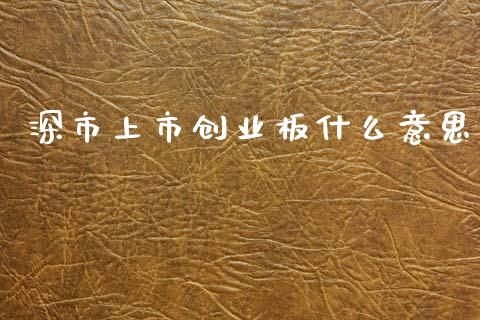深市上市创业板什么意思_https://cj002.lansai.wang_期货问答_第1张