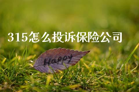 315怎么投诉保险公司_https://cj002.lansai.wang_保险问答_第1张
