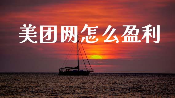 美团网怎么盈利_https://cj002.lansai.wang_财经问答_第1张