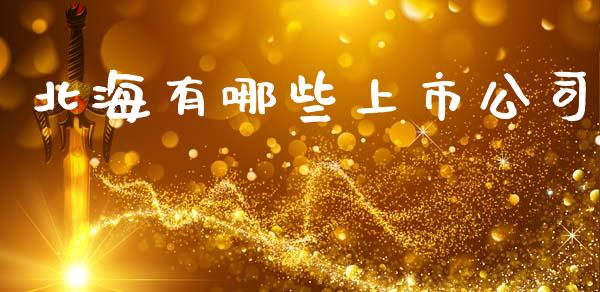 北海有哪些上市公司_https://cj002.lansai.wang_理财问答_第1张