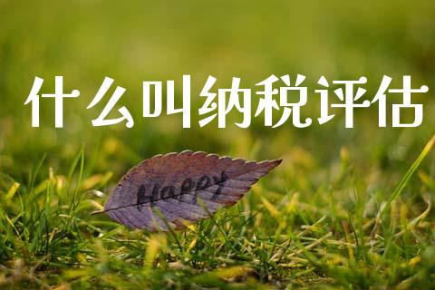 什么叫纳税评估_https://cj002.lansai.wang_会计问答_第1张