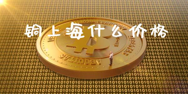 铜上海什么价格_https://cj002.lansai.wang_财经问答_第1张