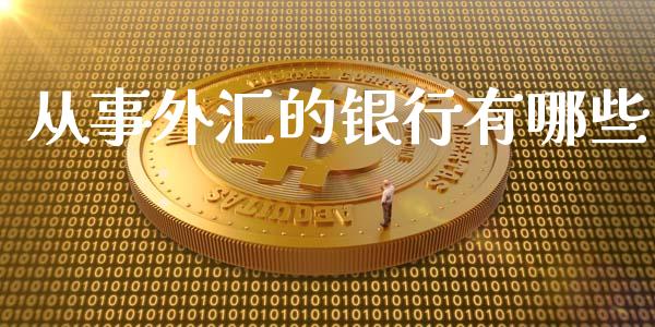 从事外汇的银行有哪些_https://cj002.lansai.wang_财经问答_第1张