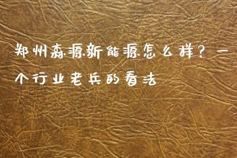 郑州森源新能源怎么样？一个行业老兵的看法_https://cj002.lansai.wang_财经问答_第1张