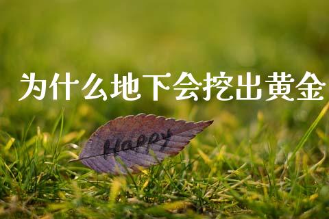 为什么地下会挖出黄金_https://cj002.lansai.wang_股市问答_第1张