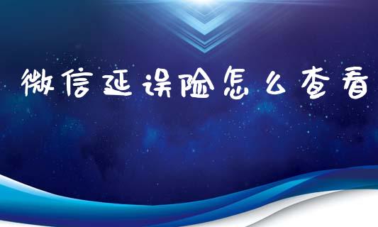 微信延误险怎么查看_https://cj002.lansai.wang_保险问答_第1张