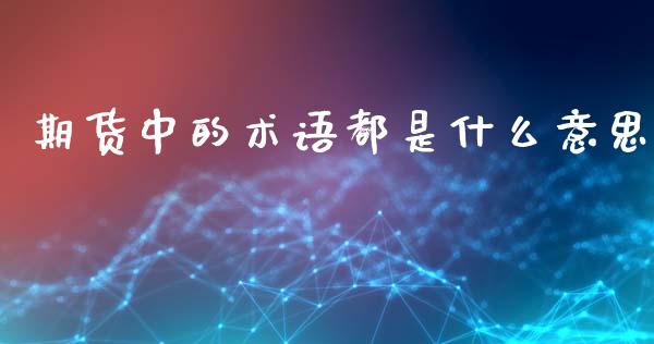 期货中的术语都是什么意思_https://cj002.lansai.wang_金融问答_第1张