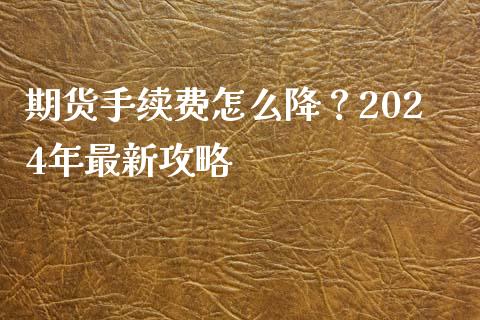 期货手续费怎么降？2024年最新攻略_https://cj002.lansai.wang_股市问答_第1张