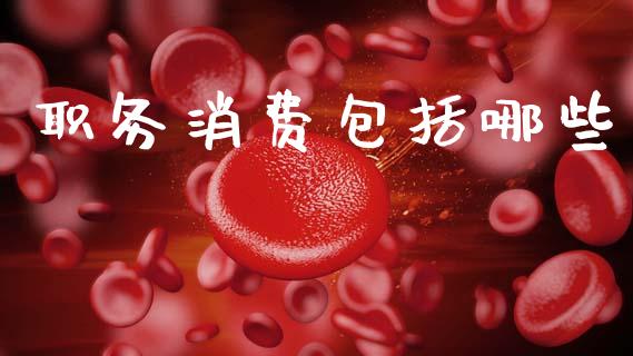 职务消费包括哪些_https://cj002.lansai.wang_金融问答_第1张