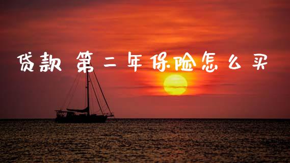贷款 第二年保险怎么买_https://cj002.lansai.wang_保险问答_第1张