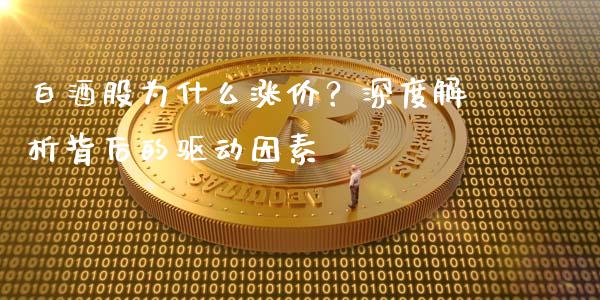 白酒股为什么涨价？深度解析背后的驱动因素_https://cj002.lansai.wang_期货问答_第1张