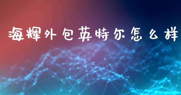 海辉外包英特尔怎么样_https://cj002.lansai.wang_财经百问_第1张