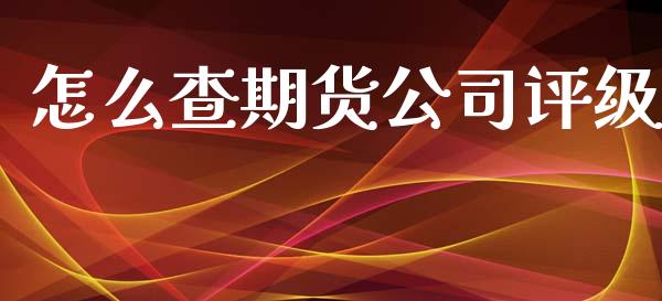 怎么查期货公司评级_https://cj002.lansai.wang_保险问答_第1张