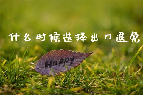 什么时候选择出口退免_https://cj002.lansai.wang_会计问答_第1张
