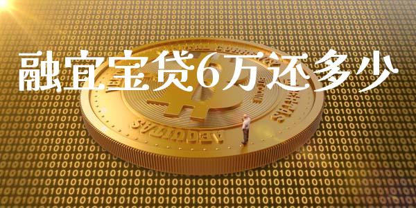 融宜宝贷6万还多少_https://cj002.lansai.wang_财经百问_第1张