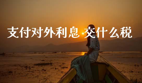 支付对外利息 交什么税_https://cj002.lansai.wang_会计问答_第1张