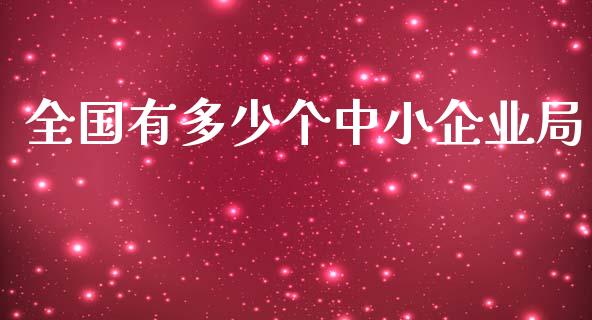 全国有多少个中小企业局_https://cj002.lansai.wang_财经问答_第1张