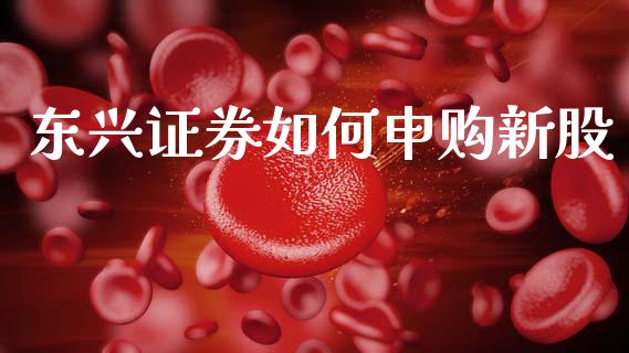 东兴证券如何申购新股_https://cj002.lansai.wang_期货问答_第1张