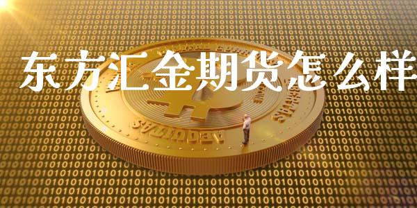 东方汇金期货怎么样_https://cj002.lansai.wang_理财问答_第1张