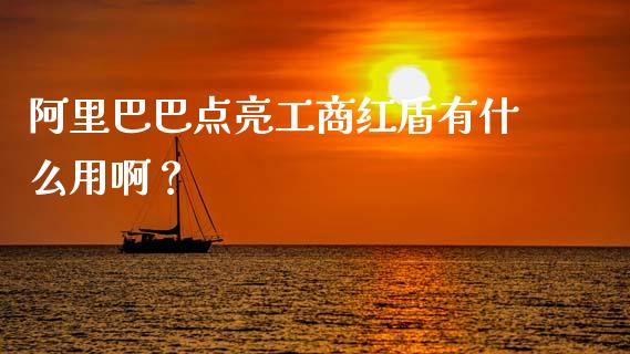 阿里巴巴点亮工商红盾有什么用啊？_https://cj002.lansai.wang_会计问答_第1张