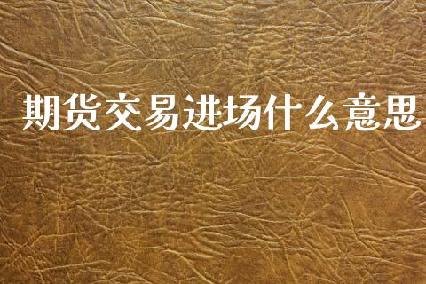 期货交易进场什么意思_https://cj002.lansai.wang_会计问答_第1张