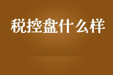 税控盘什么样_https://cj002.lansai.wang_会计问答_第1张