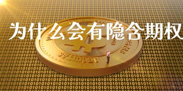 为什么会有隐含期权_https://cj002.lansai.wang_理财问答_第1张