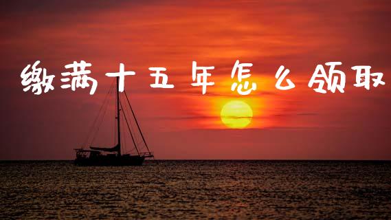 缴满十五年怎么领取_https://cj002.lansai.wang_保险问答_第1张