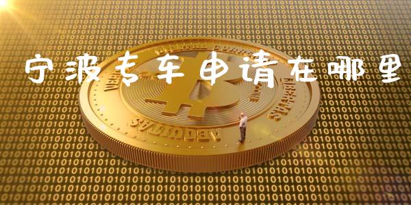 宁波专车申请在哪里_https://cj002.lansai.wang_理财问答_第1张