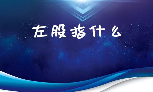 左股指什么_股市问答_第1张_财经百问网 左股指什么_https://cj002.lansai.wang_股市问答_第1张