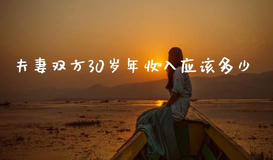 夫妻双方30岁年收入应该多少_https://cj002.lansai.wang_金融问答_第1张