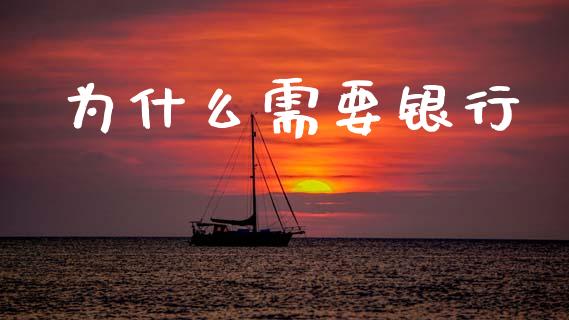 为什么需要银行_https://cj002.lansai.wang_会计问答_第1张
