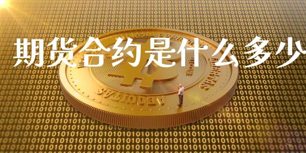 期货合约是什么多少_https://cj002.lansai.wang_期货问答_第1张