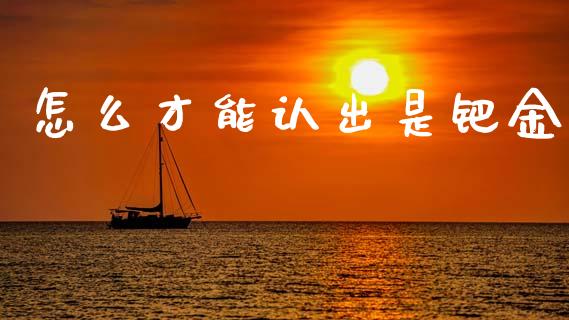 怎么才能认出是钯金_https://cj002.lansai.wang_财经百问_第1张