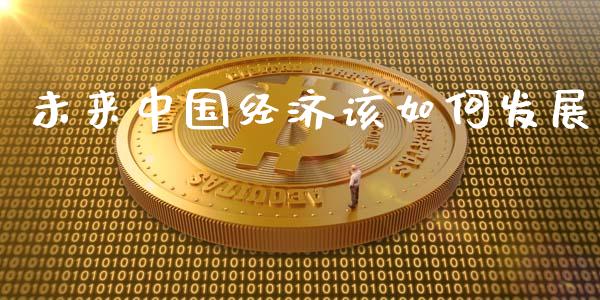未来中国经济该如何发展_https://cj002.lansai.wang_理财问答_第1张