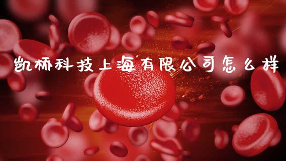 凯桥科技上海有限公司怎么样_https://cj002.lansai.wang_股市问答_第1张