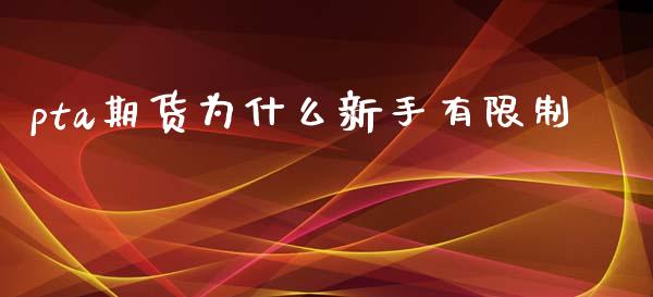 pta期货为什么新手有限制_https://cj002.lansai.wang_会计问答_第1张