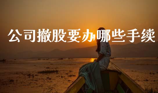 公司撤股要办哪些手续_https://cj002.lansai.wang_财经问答_第1张