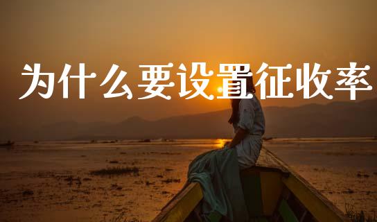 为什么要设置征收率_https://cj002.lansai.wang_会计问答_第1张