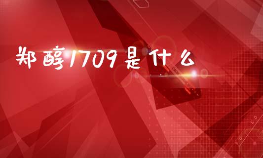 郑醇1709是什么_https://cj002.lansai.wang_财经问答_第1张