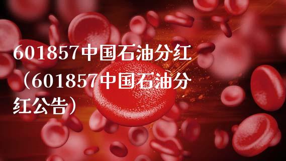 601857中国石油分红（601857中国石油分红公告）_https://cj002.lansai.wang_股市问答_第1张